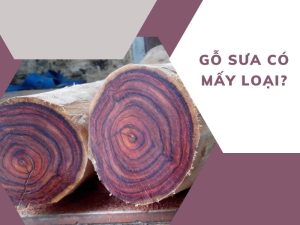 gỗ sưa có mấy loại